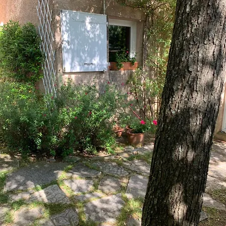 Charmante Villa Au Calme Entre Mer Et Cevennes Animaux De Compagnie Acceptes Saint-Gely-du-Fesc Exterior photo